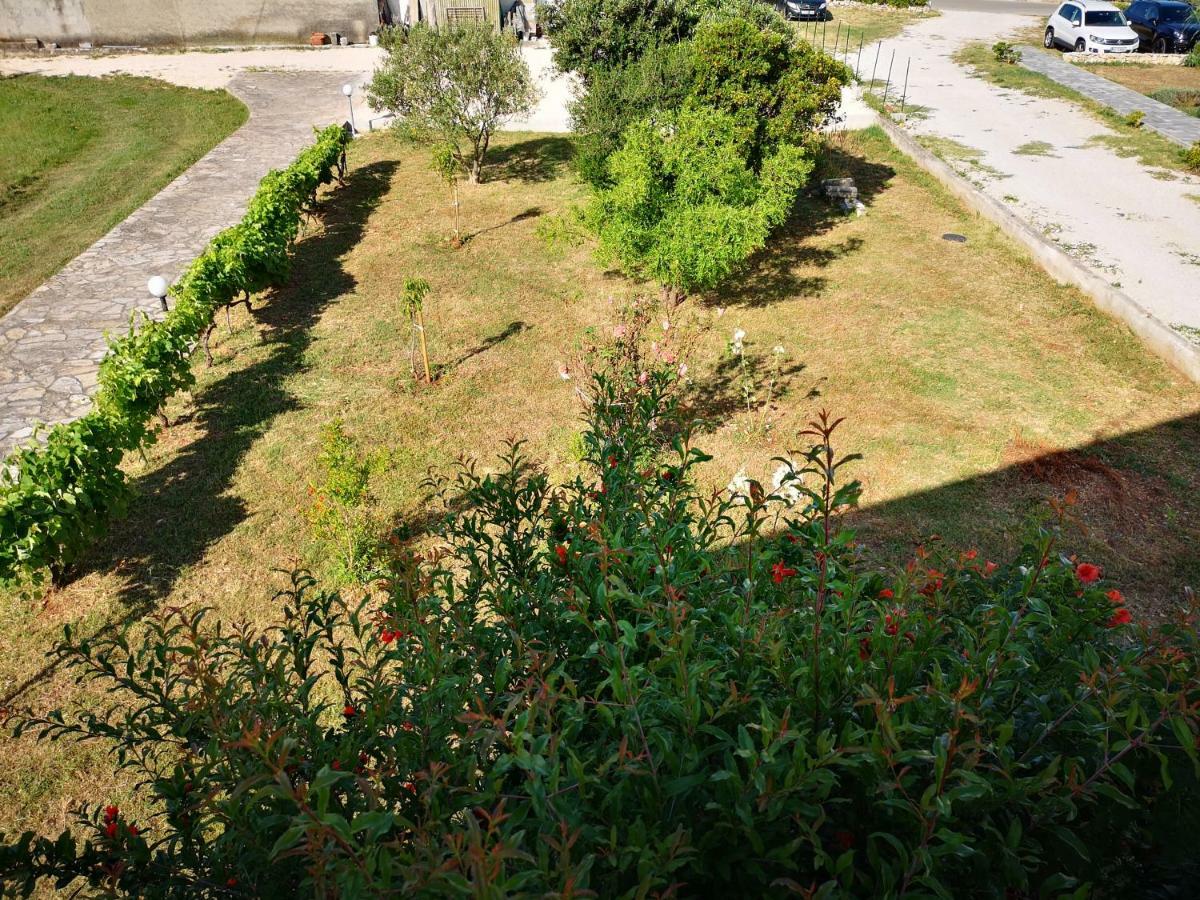 Apartmani Labud Sukošan Esterno foto